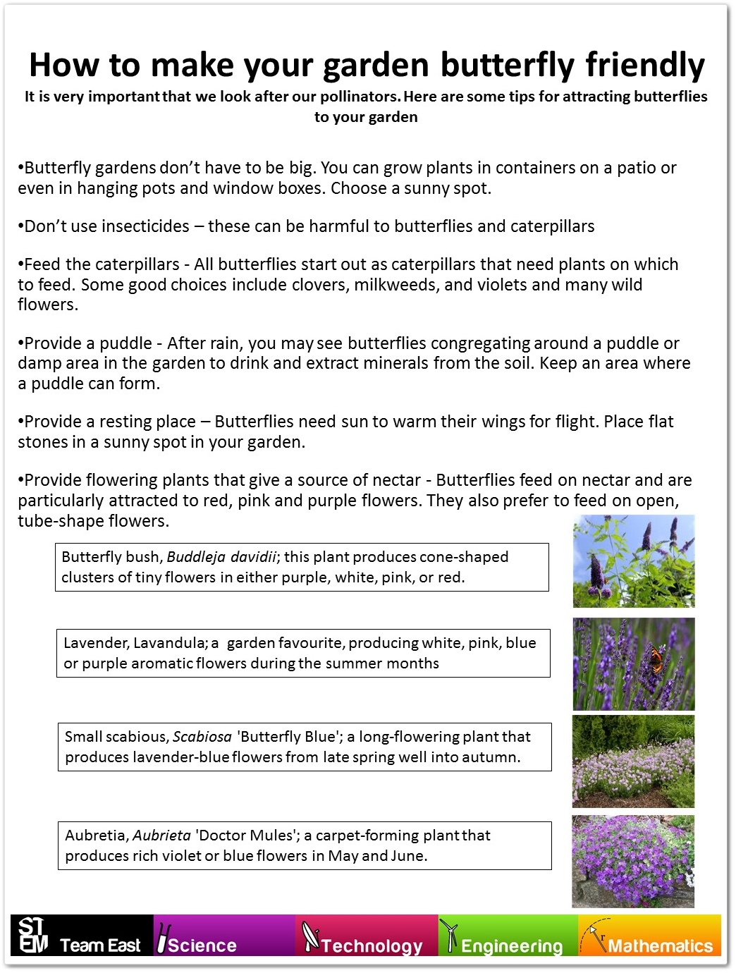 how-to-make-your-garden-butterfly-friendly_2